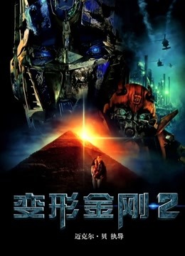 变形金刚2 国语版